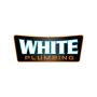 Expert Drain Repair Services in Springfield, MO | White Plum