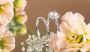 Transform Your Collection Sell Your Luxury Jewelry Effortles