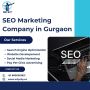 Why Shy – Leading SEO Marketing Company in Gurgaon