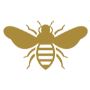 Sidr Honey in UAE – Raw and without added Sugar or flavors