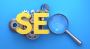 Best SEO Marketing Company in India | Wildnet Technologies