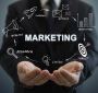 Best Link Building Marketing Company in India