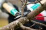 Reliable Tree Services for Homes 