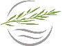 Willow Creek Smiles