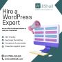 Looking for a Dedicated WordPress Development Company