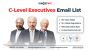 Invest in C-Level Executives Email List to Influence High-Le