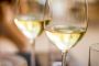 Learn About the Best Wine Glasses Types for You