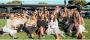winery tour bellarine