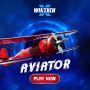 Elevate Your Gaming Experience with Winexch's Live Aviator