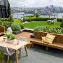 Terrace Garden Services in India – Witwake
