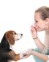 Dog Trainer In Phoenix, AZ