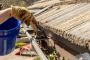Professional Residential Gutter Cleaning in Wollongong