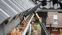 Expert Strata Gutter Cleaning for Wollongong & South Coast S