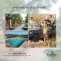 Best Resorts in Sasan Gir - Woodland Resort Sasan Gir Best Resorts in Sasan Gir - Woodland Resort Sasan Gir