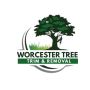 Worcester Tree Trim and Removal