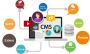 CMS Website Design Noida