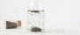 Can Chia Seed Water Support You Lose Weight?