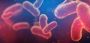 Stay Ahead with World Technology Partner’s Life Science News