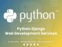 Python Django Web Development Services Company India & USA