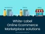 Custom eCommerce Marketplace Development Company 