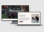 Professional Website Design Services in Newcastle 