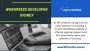 Expert WordPress Developer in Sydney