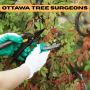 Ottawa Tree Surgeons for Complete Tree Care—Wright Tree Service