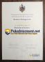 How muvh for fake University of Surrey degree online? How muvh for fake University of Surrey degree online?
