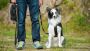  Wyoming K-9 Training Academy | Dog Trainer in Cheyenne WY