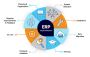 Boost Your Business with Xaltam’s ERP