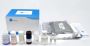 Buy Human IL-12 (Interleukin 12) ELISA Kit – XL Biotec