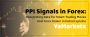 Best Forex Broker in Dubai, UAE - Trusted by Traders