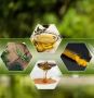 Ayurvedic Medicine Manufacturer in India – Yamuna Pharmacy