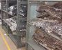 Slotted Angle rack manufacturer 