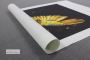 Transform Your Space with Stunning Canvas Prints 