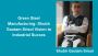 Green Steel Manufacturing: Shubh Gautam Srisol Vision to Ind
