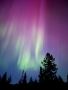 Aurora Village in Yellowknife Canada