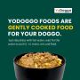 Complete and Balanced Dog Food with beef and fish at Yodoggo