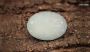 Buy 4 Carat Opal Stone at best price in jaipur 