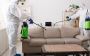 Yorkers Pest Control Inc | Pest control service in Elmont NY