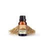 Ajwain Oil