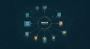 Expert Amazon Marketplace Management Services