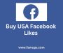 Buy USA Facebook Likes for Drive American Engagement