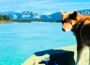 Yukon River Tour: Paddle Historic Waters with Local Guides