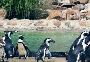 Lehigh Valley zoo 