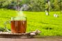 Buy Premium Darjeeling Tea Online
