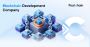 Blockchain Development Company Blockchain Development Company