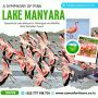 Tanzania Safari Packages Tanzania Safari Packages