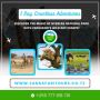 Top Tanzania Safari Packages – Explore Wildlife in Comfort