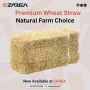 Wheat Straw | Zarea Limited